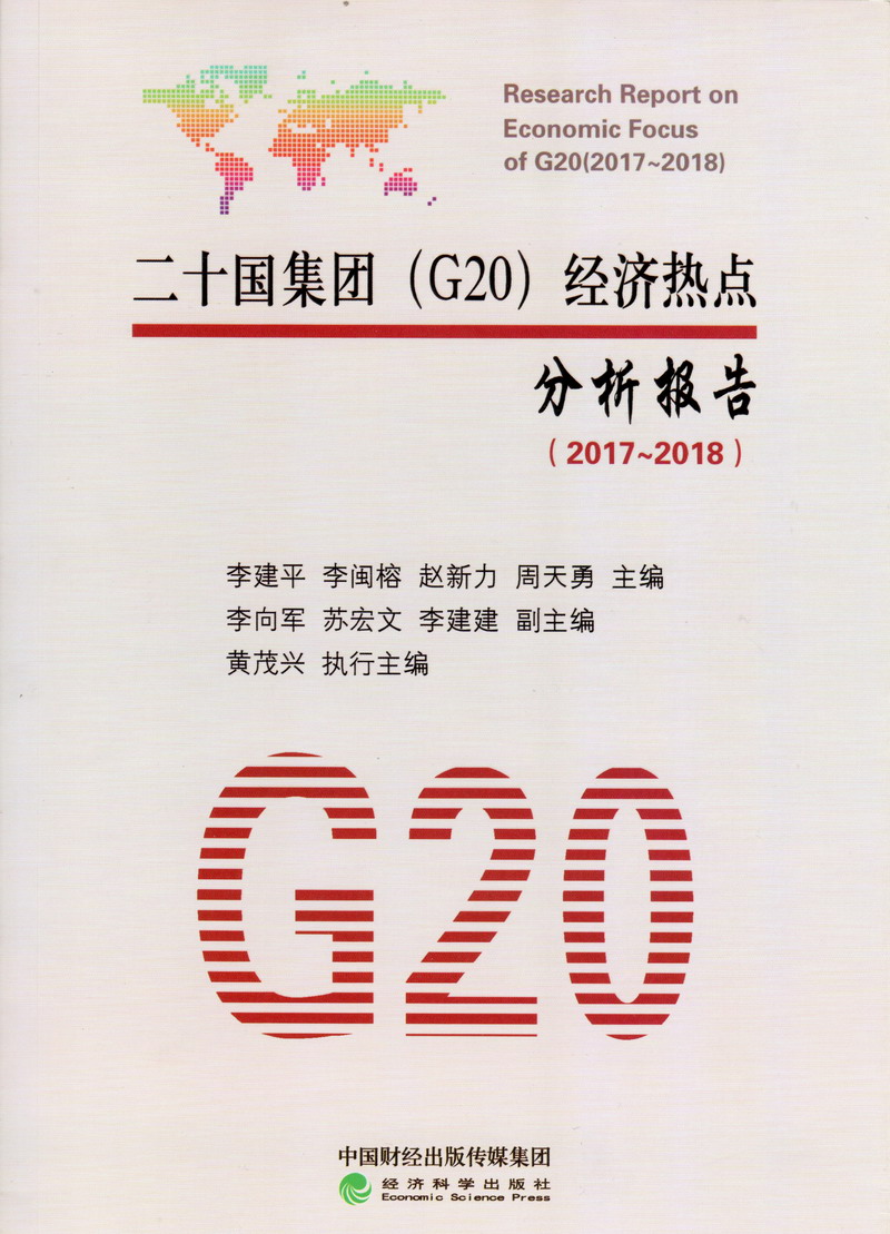 日你骚逼大奶二十国集团（G20）经济热点分析报告（2017-2018）